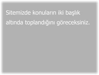 Sitemizde konuların iki başlık altında toplandığını göreceksiniz.